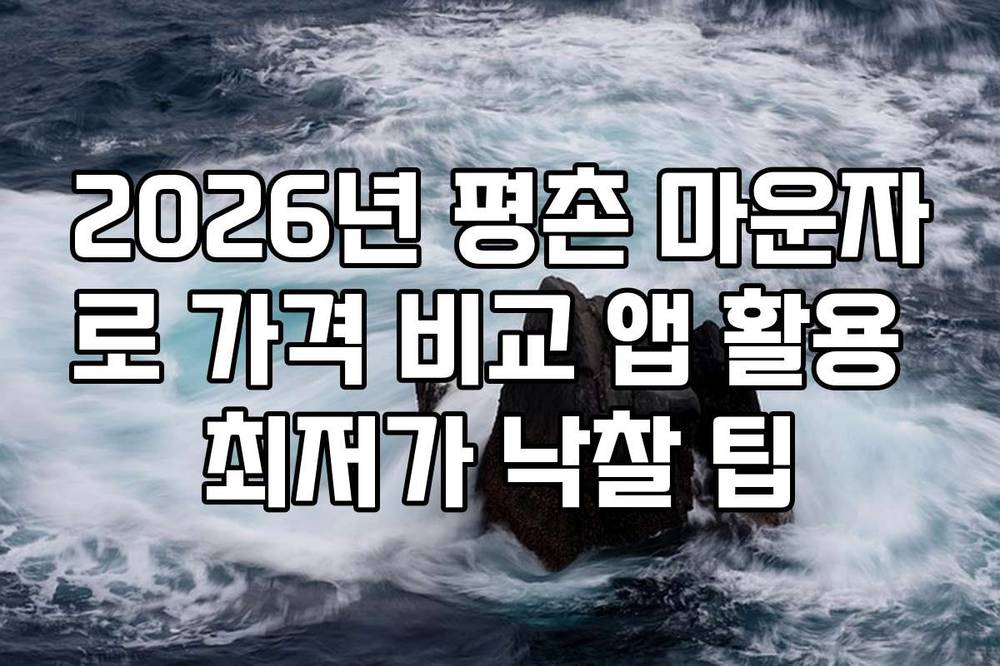 2026년 평촌 마운자로 가격 비교 앱 활용 최저가 낙찰 팁