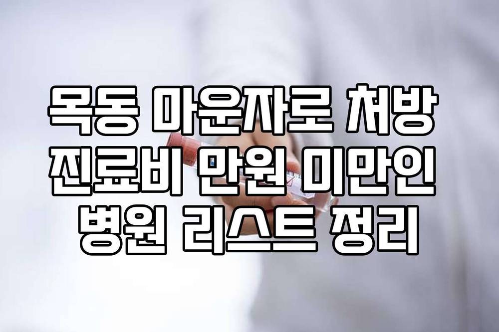 목동 마운자로 처방 진료비 만원 미만인 병원 리스트 정리