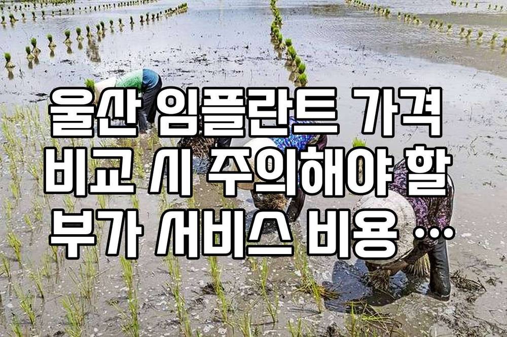 울산 임플란트 가격 비교 시 주의해야 할 부가 서비스 비용 항목