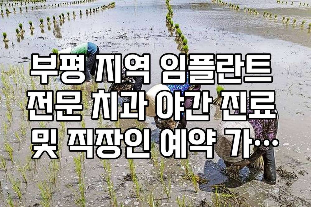 부평 지역 임플란트 전문 치과 야간 진료 및 직장인 예약 가이드