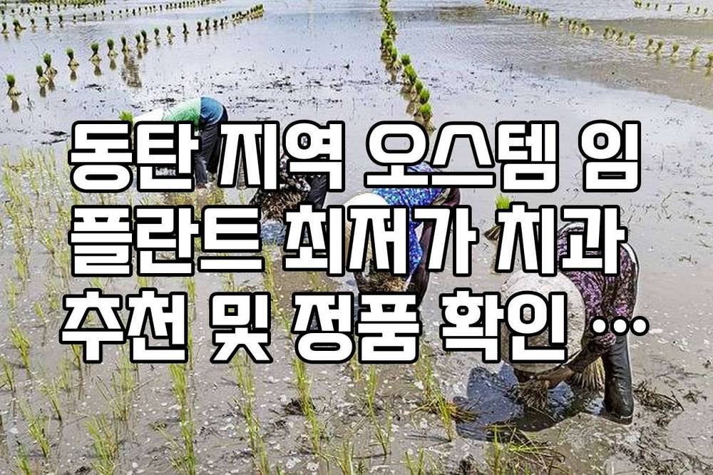 동탄 지역 오스템 임플란트 최저가 치과 추천 및 정품 확인 리스트