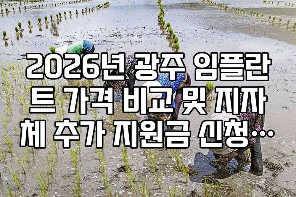 2026년 광주 임플란트 가격 비교 및 지자체 추가 지원금 신청 가이드