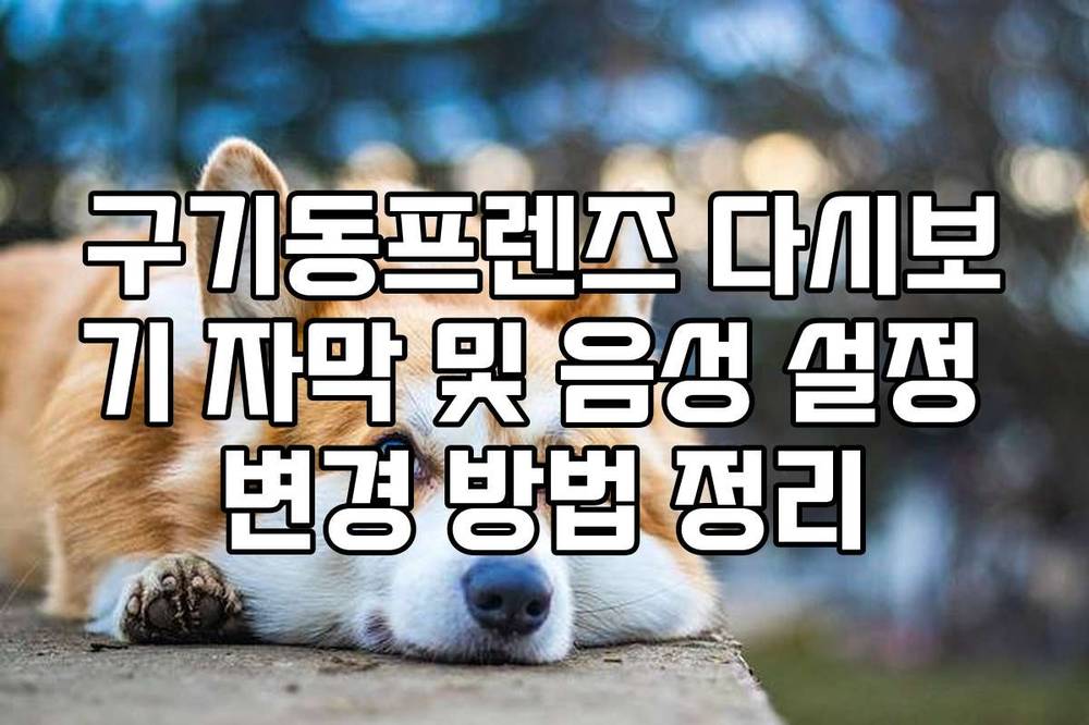 구기동프렌즈 다시보기 자막 및 음성 설정 변경 방법 정리