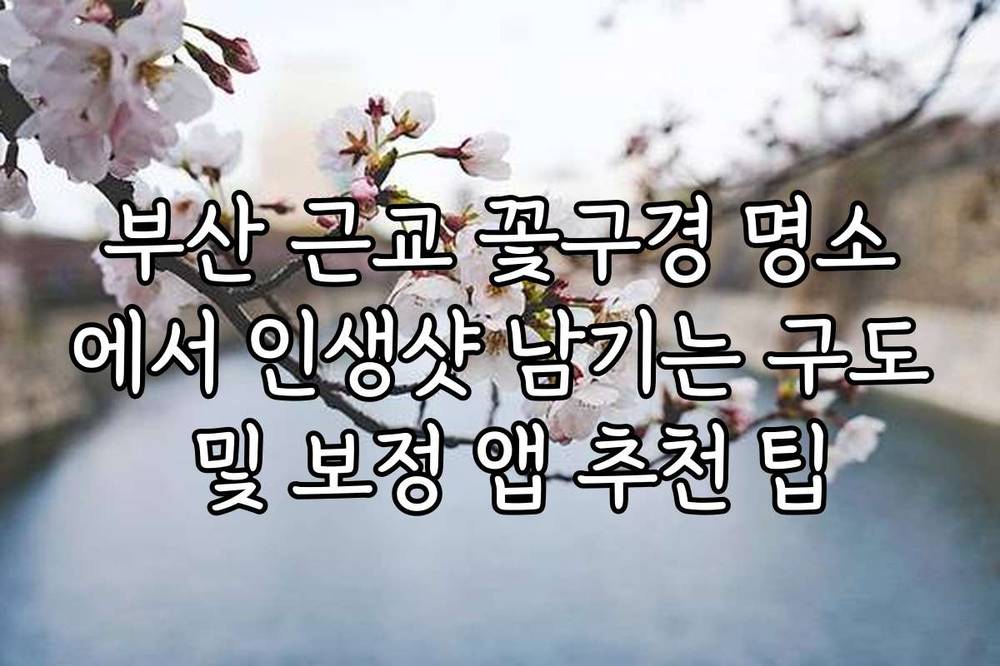 부산 근교 꽃구경 명소에서 인생샷 남기는 구도 및 보정 앱 추천 팁