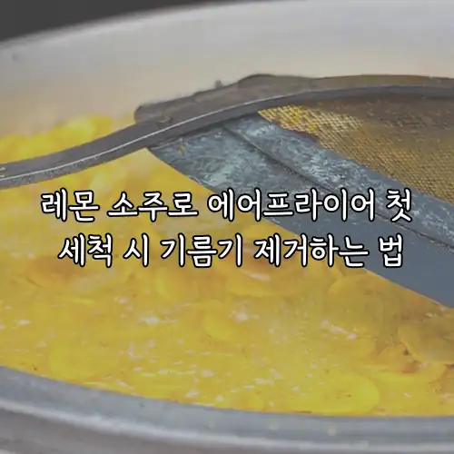 레몬 소주로 에어프라이어 첫 세척 시 기름기 제거하는 법