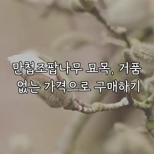 만첩조팝나무 묘목, 거품 없는 가격으로 구매하기