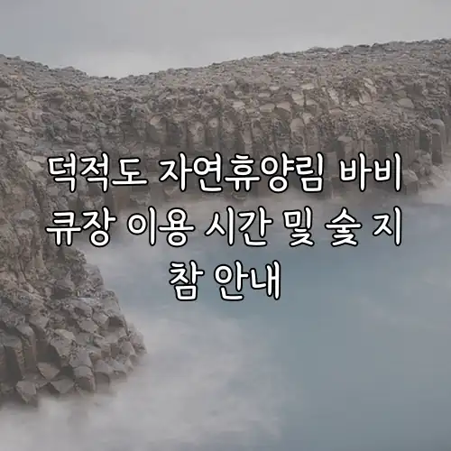 덕적도 자연휴양림 바비큐장 이용 시간 및 숯 지참 안내