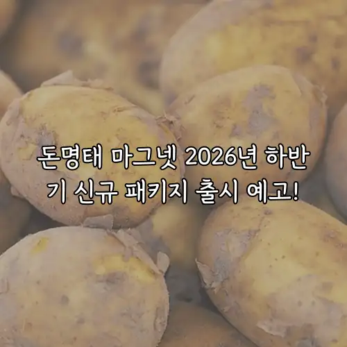 돈명태 마그넷 2026년 하반기 신규 패키지 출시 예고!