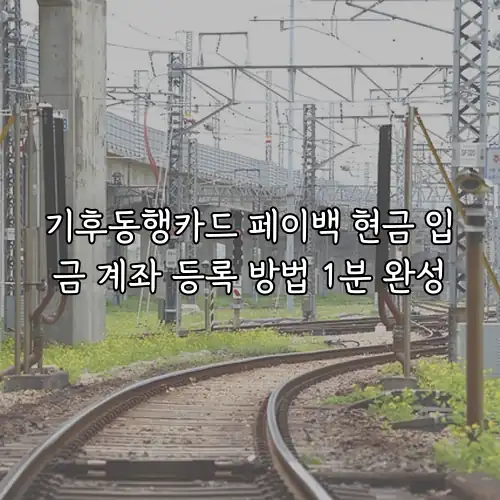 기후동행카드 페이백 현금 입금 계좌 등록 방법 1분 완성