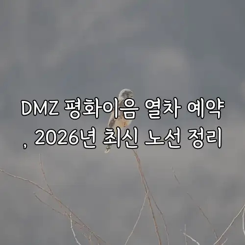 DMZ 평화이음 열차 예약, 2026년 최신 노선 정리