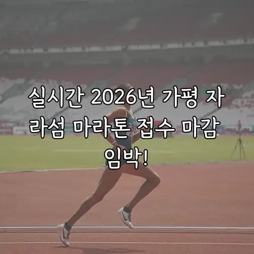 실시간 2026년 가평 자라섬 마라톤 접수 마감 임박!