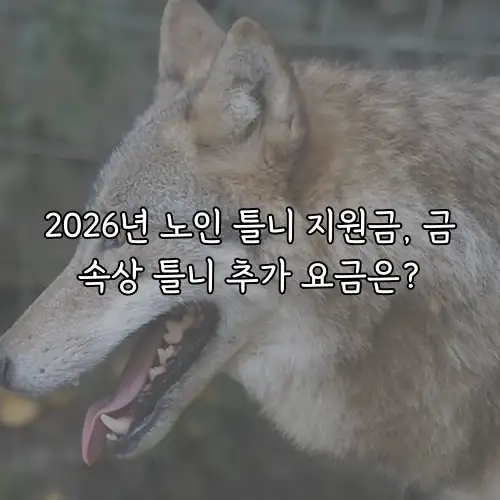 2026년 노인 틀니 지원금, 금속상 틀니 추가 요금은?