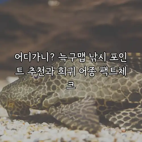 어디가니? 늑구맵 낚시 포인트 추천과 희귀 어종 팩트체크