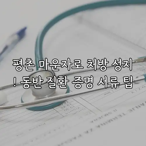 평촌 마운자로 처방 성지! 동반 질환 증명 서류 팁
