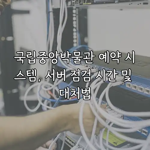 국립중앙박물관 예약 시스템, 서버 점검 시간 및 대처법