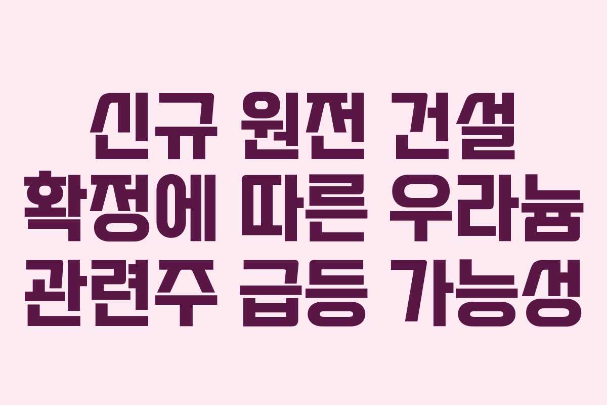 신규 원전 건설 확정에 따른 우라늄 관련주 급등 가능성