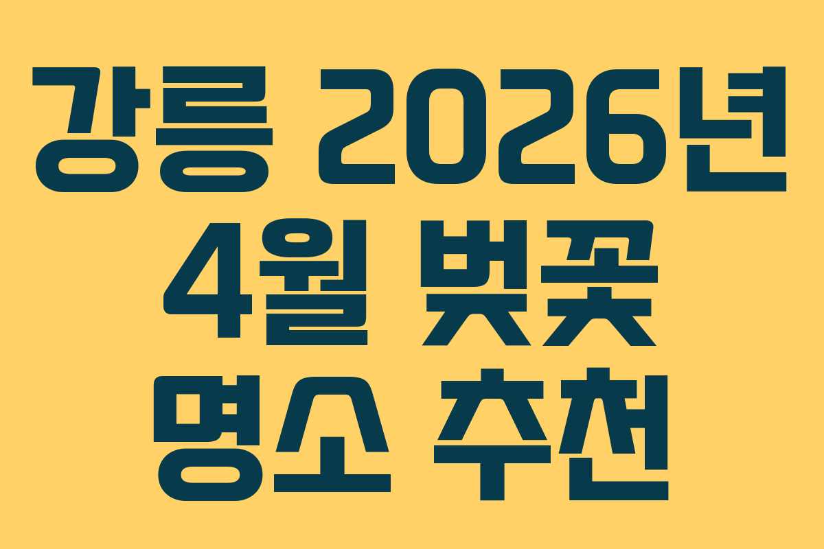 강릉 2026년 4월 벚꽃 명소 추천
