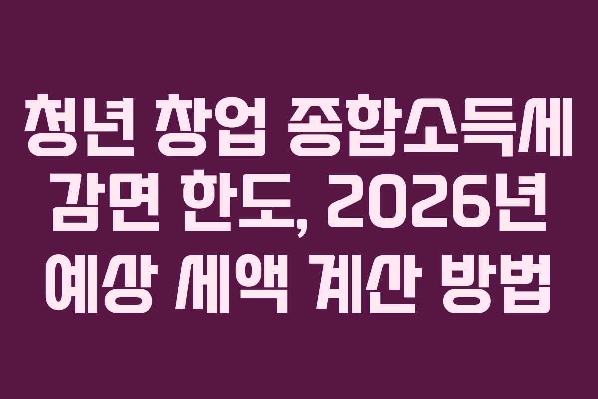 청년 창업 종합소득세 감면 한도, 2026년 예상 세액 계산 방법