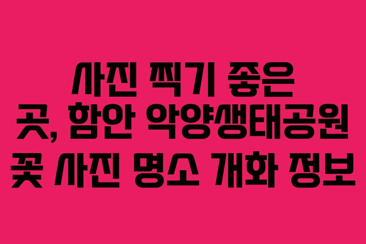 사진 찍기 좋은 곳, 함안 악양생태공원 꽃 사진 명소 개화 정보