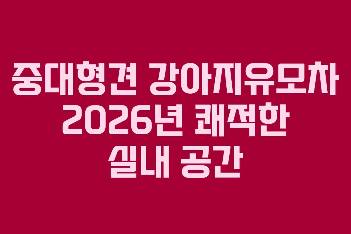 중대형견 강아지유모차 2026년 쾌적한 실내 공간