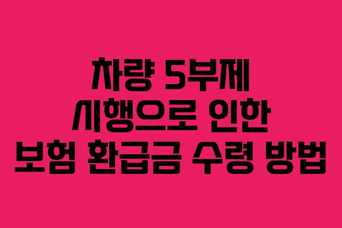 차량 5부제 시행으로 인한 보험 환급금 수령 방법