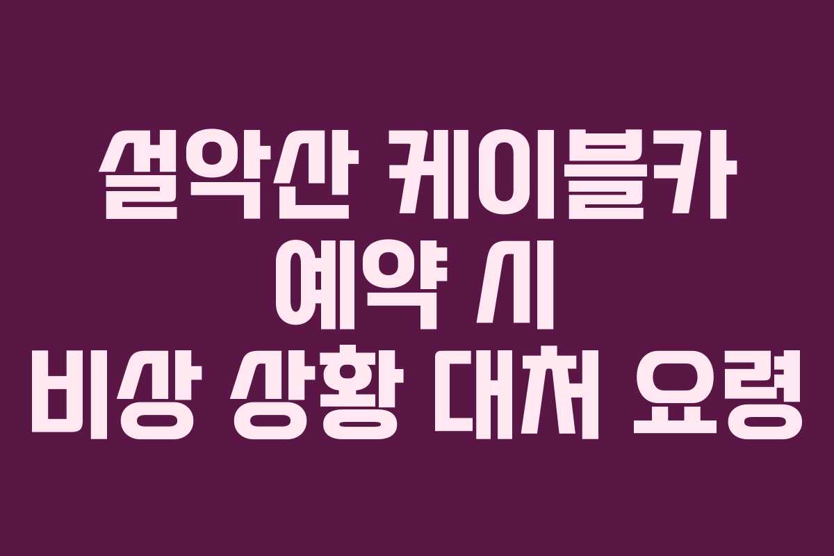 설악산 케이블카 예약 시 비상 상황 대처 요령 설악산 케이블카 예약 시 비상 상황 대처 요령