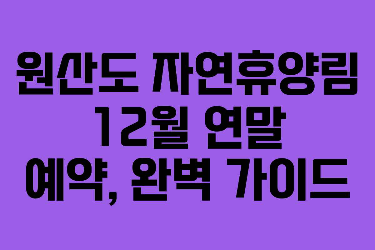 원산도 자연휴양림 12월 연말 예약, 완벽 가이드