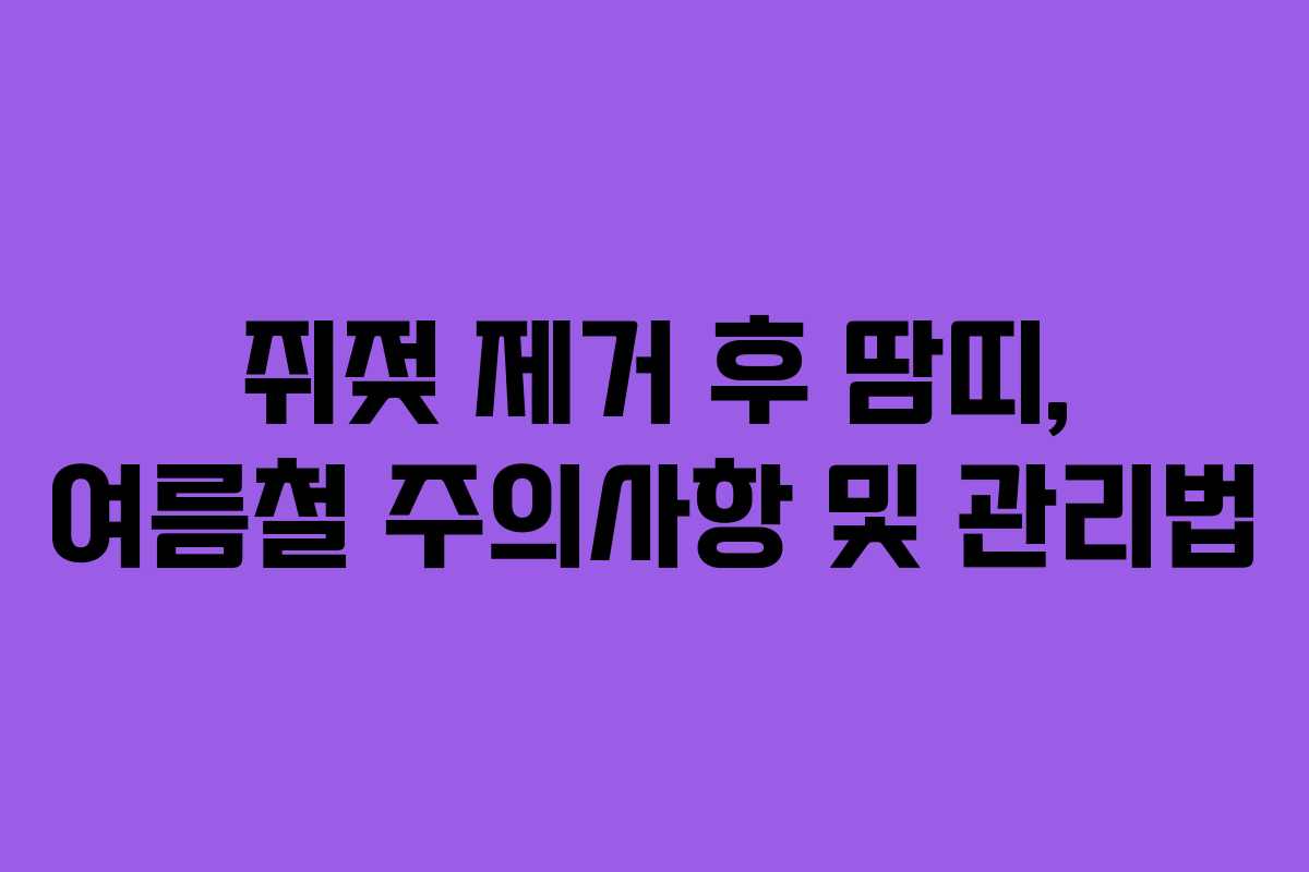쥐젖 제거 후 땀띠, 여름철 주의사항 및 관리법