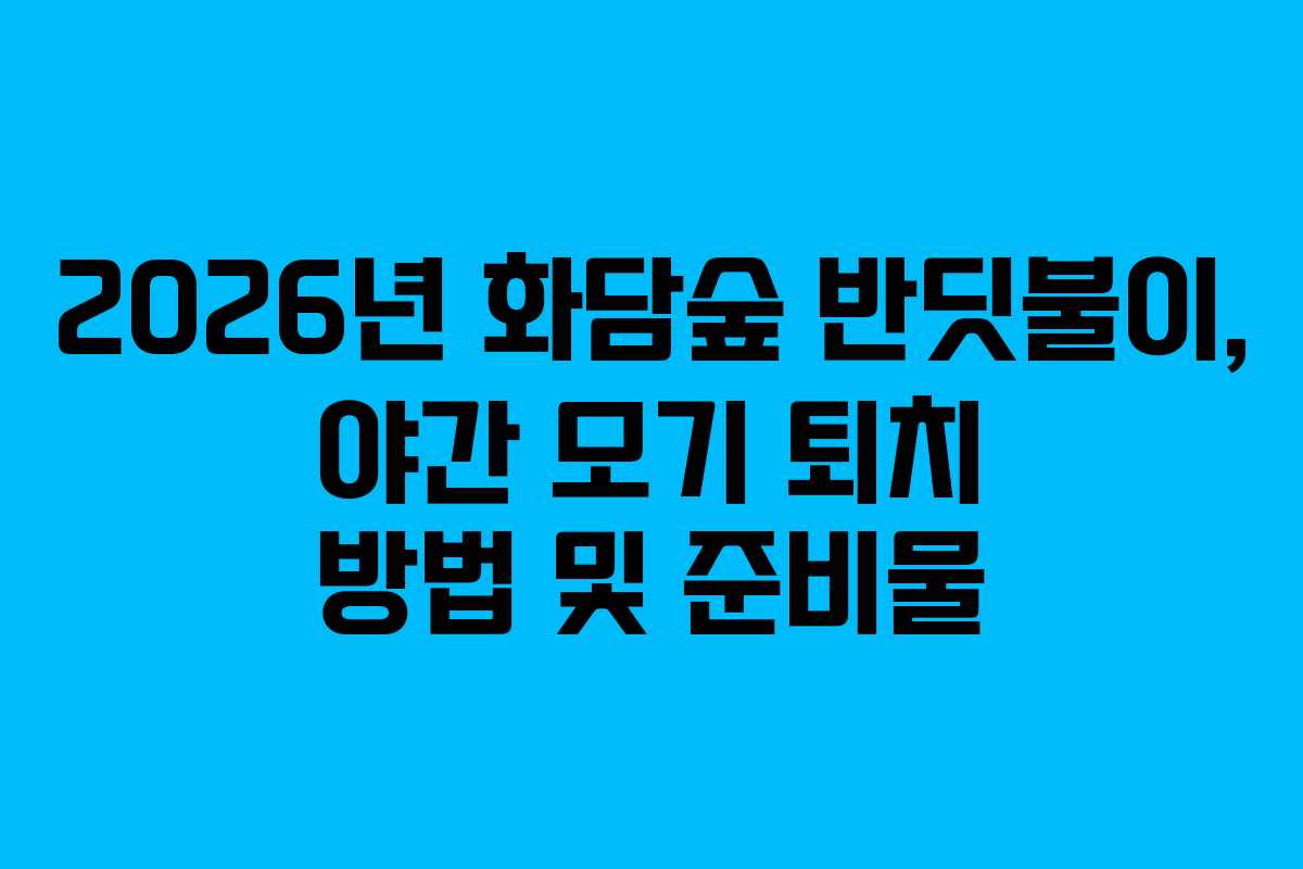 2026년 화담숲 반딧불이, 야간 모기 퇴치 방법 및 준비물 2026년 화담숲 반딧불이, 야간 모기 퇴치 방법 및 준비물