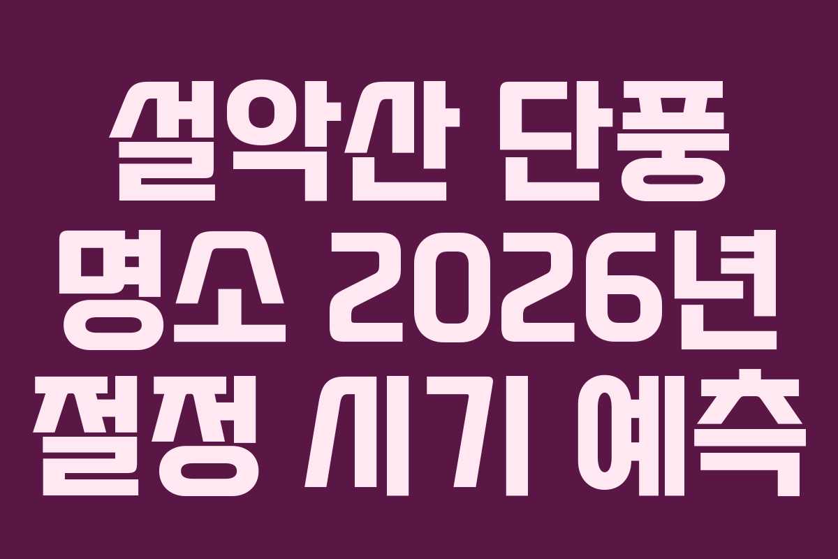 설악산 단풍 명소 2026년 절정 시기 예측 설악산 단풍 명소 2026년 절정 시기 예측