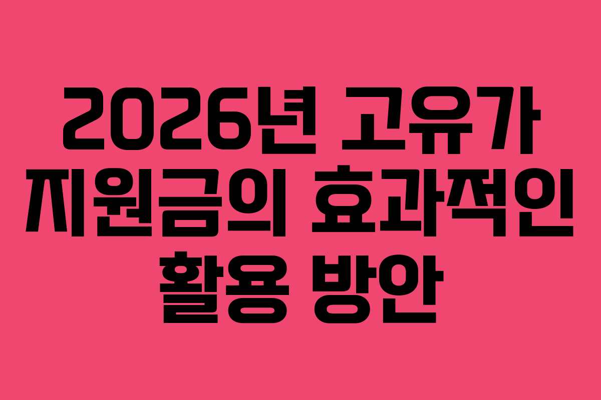 2026년 고유가 지원금의 효과적인 활용 방안 2026년 고유가 지원금의 효과적인 활용 방안