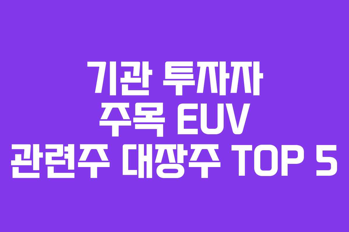 기관 투자자 주목 EUV 관련주 대장주 TOP 5