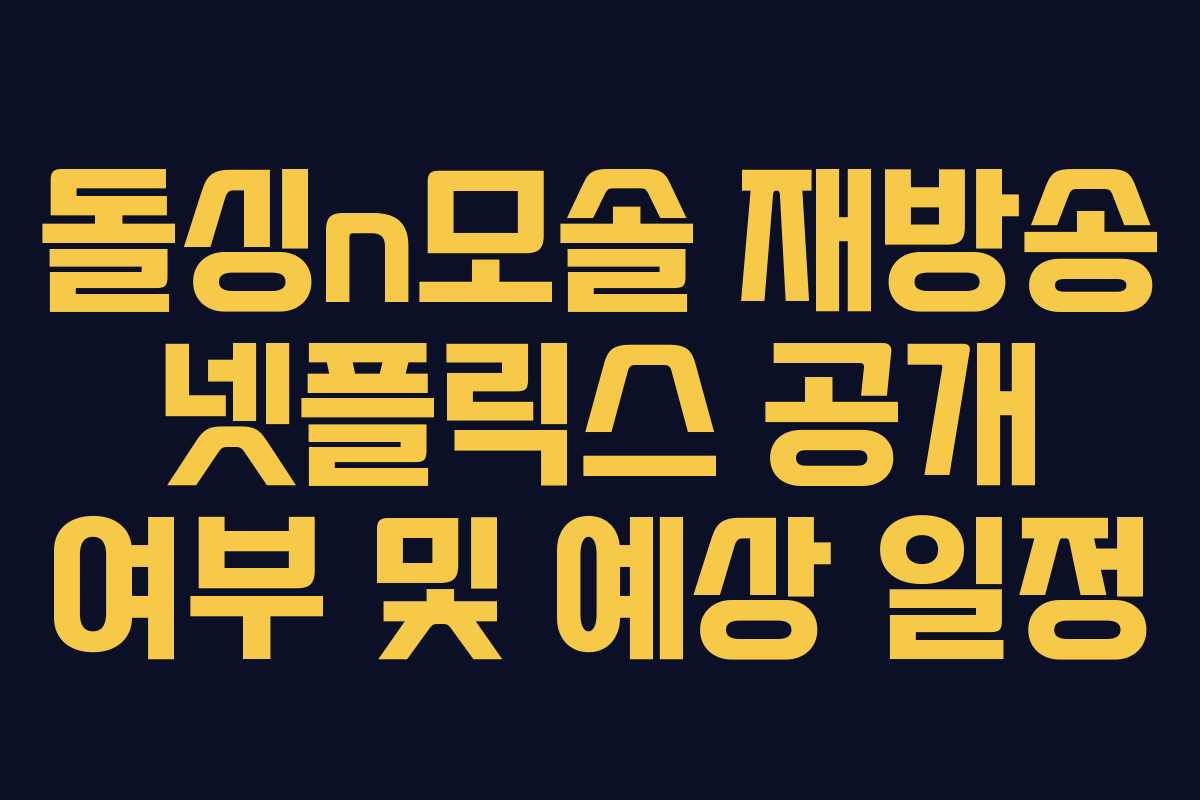 돌싱n모솔 재방송 넷플릭스 공개 여부 및 예상 일정 돌싱n모솔 재방송 넷플릭스 공개 여부 및 예상 일정