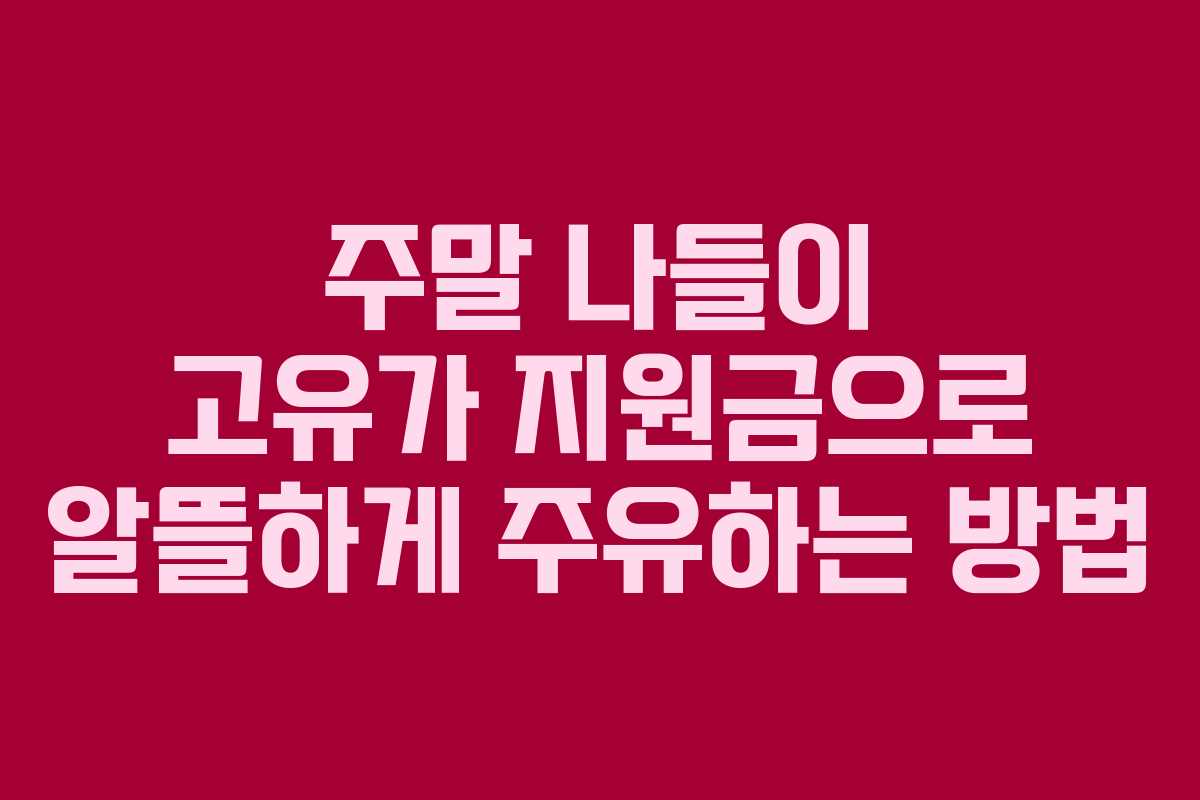 주말 나들이 고유가 지원금으로 알뜰하게 주유하는 방법 주말 나들이 고유가 지원금으로 알뜰하게 주유하는 방법