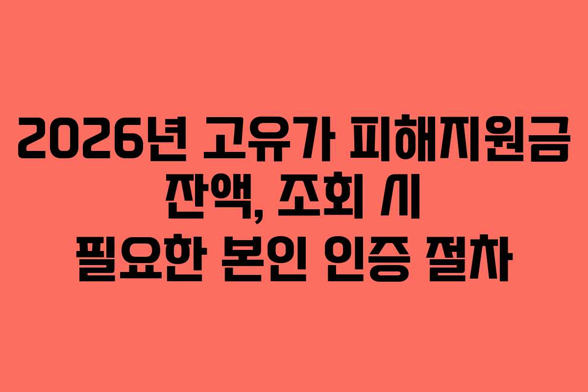 2026년 고유가 피해지원금 잔액, 조회 시 필요한 본인 인증 절차 2026년 고유가 피해지원금 잔액, 조회 시 필요한 본인 인증 절차