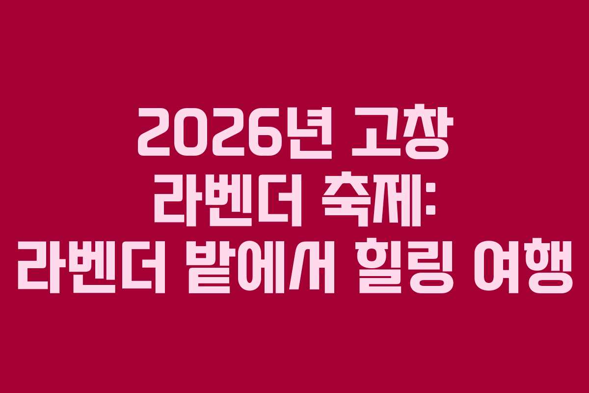 2026년 고창 라벤더 축제: 라벤더 밭에서 힐링 여행 2026년 고창 라벤더 축제: 라벤더 밭에서 힐링 여행