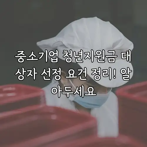 중소기업 청년지원금 대상자 선정 요건 정리! 알아두세요