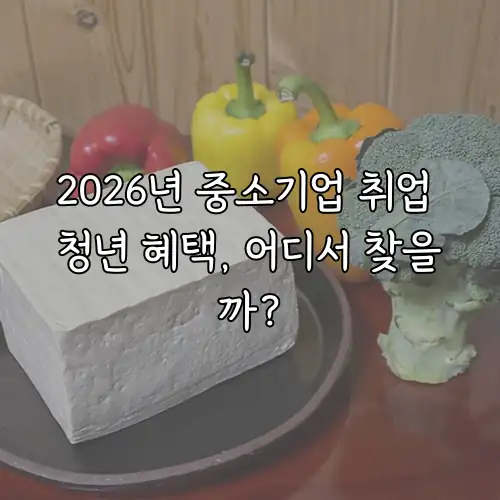 2026년 중소기업 취업 청년 혜택, 어디서 찾을까?
