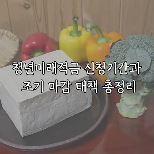 청년미래적금 신청기간과 조기 마감 대책 총정리