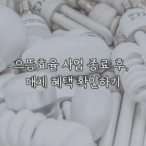 으뜸효율 사업 종료 후, 대체 혜택 확인하기