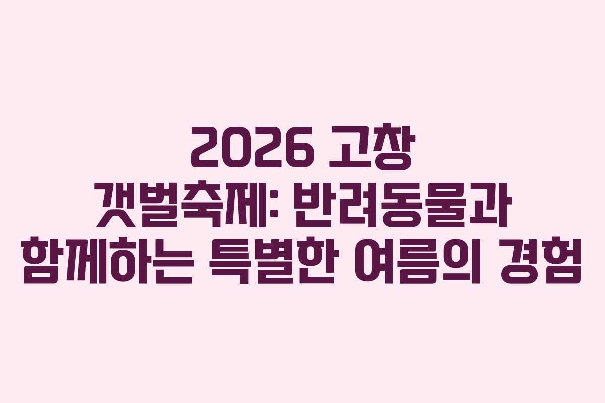 2026 고창 갯벌축제: 반려동물과 함께하는 특별한 여름의 경험