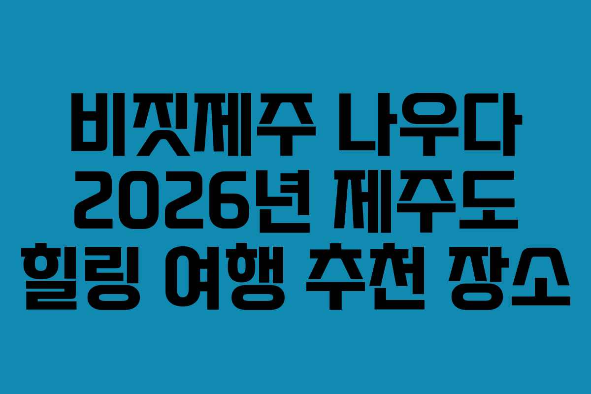 비짓제주 나우다 2026년 제주도 힐링 여행 추천 장소