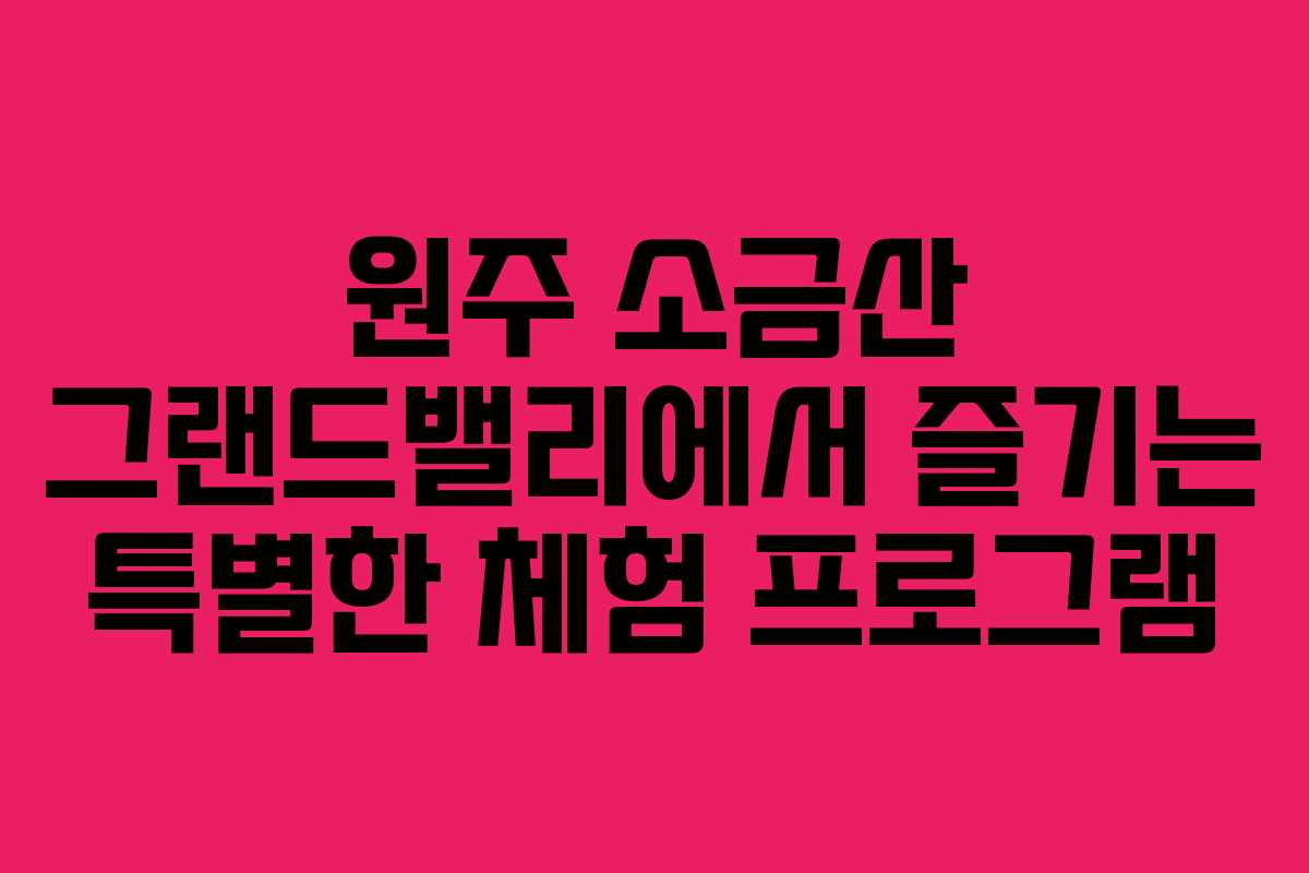 원주 소금산 그랜드밸리에서 즐기는 특별한 체험 프로그램 원주 소금산 그랜드밸리에서 즐기는 특별한 체험 프로그램