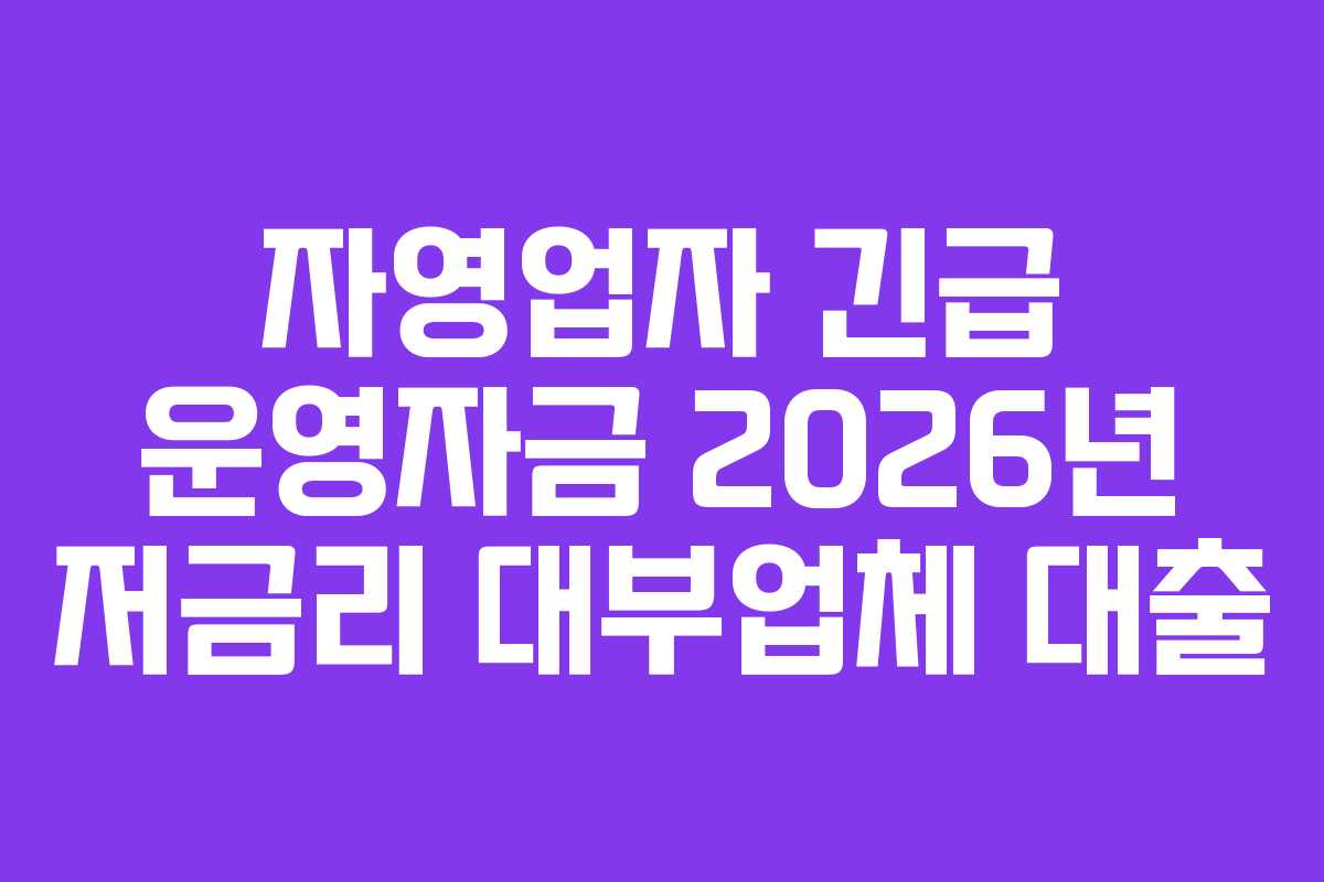 자영업자 긴급 운영자금 2026년 저금리 대부업체 대출