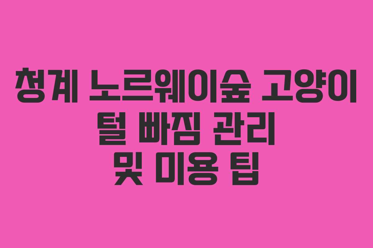청계 노르웨이숲 고양이 털 빠짐 관리 및 미용 팁 청계 노르웨이숲 고양이 털 빠짐 관리 및 미용 팁