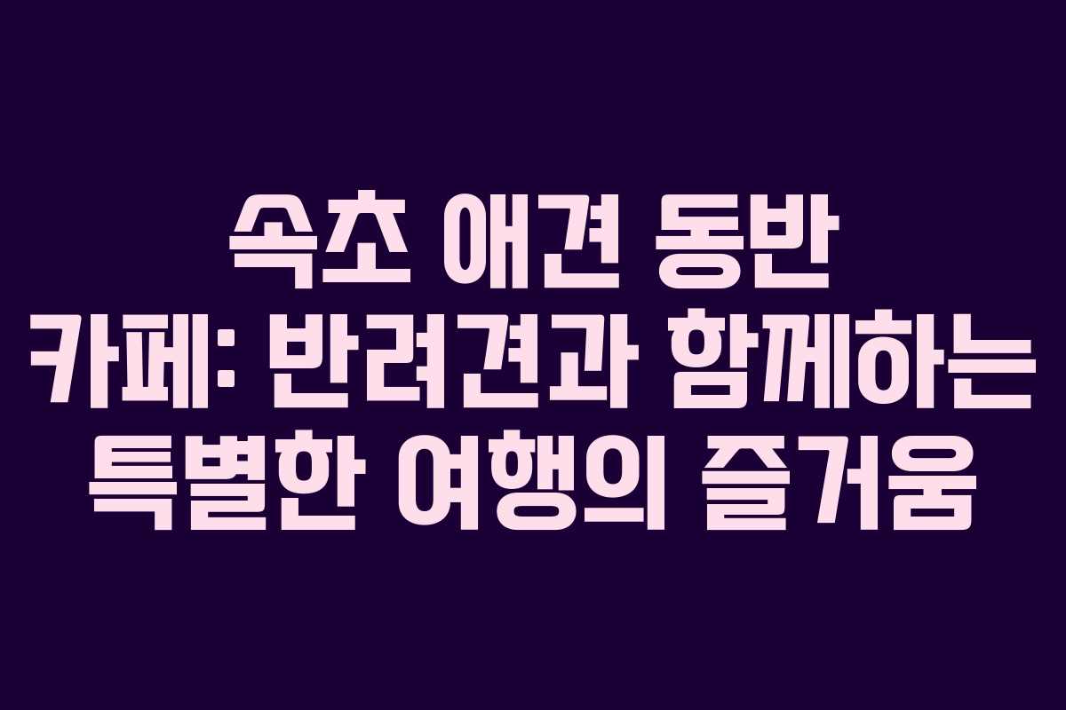 속초 애견 동반 카페: 반려견과 함께하는 특별한 여행의 즐거움 속초 애견 동반 카페: 반려견과 함께하는 특별한 여행의 즐거움