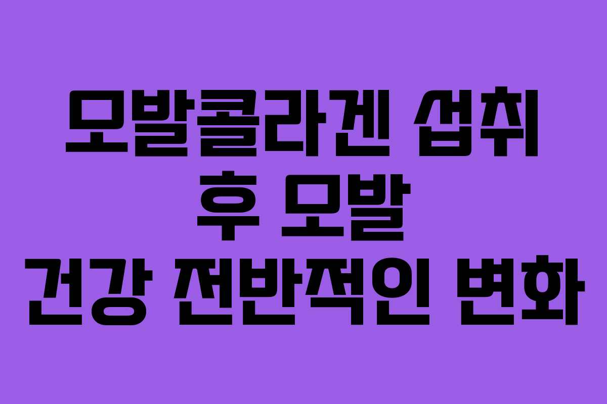 모발콜라겐 섭취 후 모발 건강 전반적인 변화 모발콜라겐 섭취 후 모발 건강 전반적인 변화