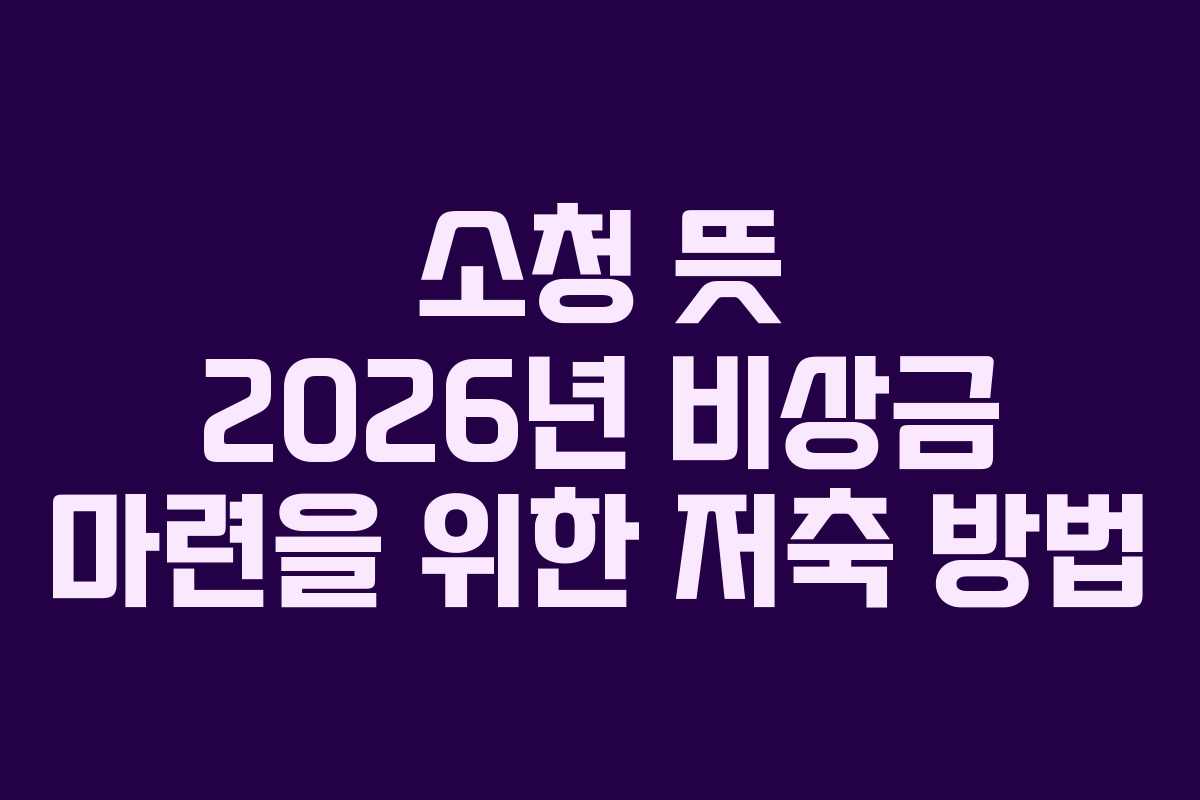 소청 뜻 2026년 비상금 마련을 위한 저축 방법 소청 뜻 2026년 비상금 마련을 위한 저축 방법